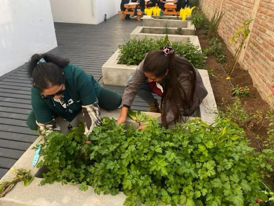 Proyecto de Colegio Lo Barnechea es premiado por la Fundación Piñera Morel